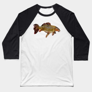 Chinese carp Baseball T-Shirt